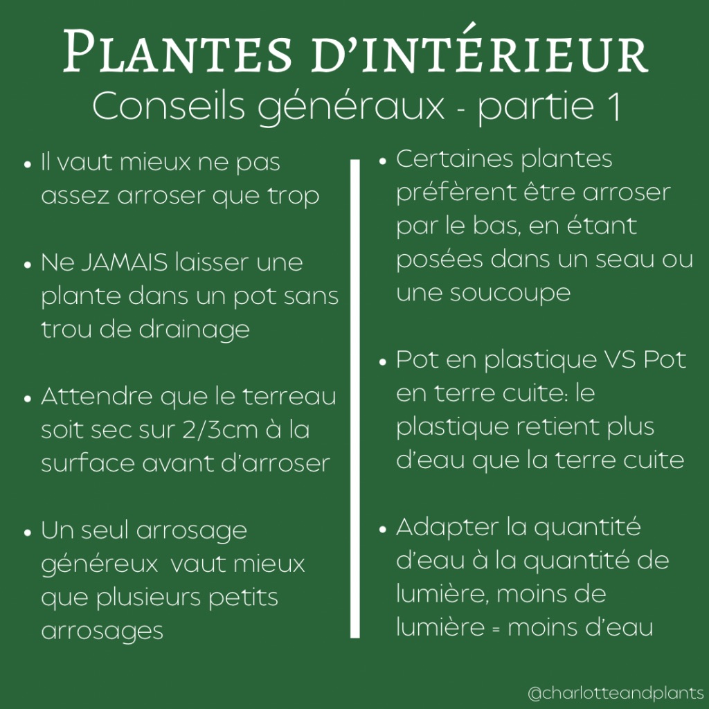 conseils plantes