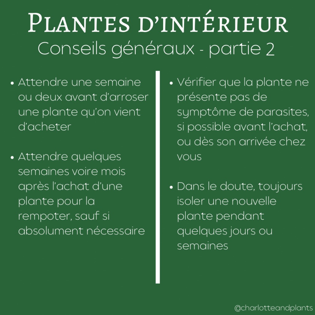 conseils plantes