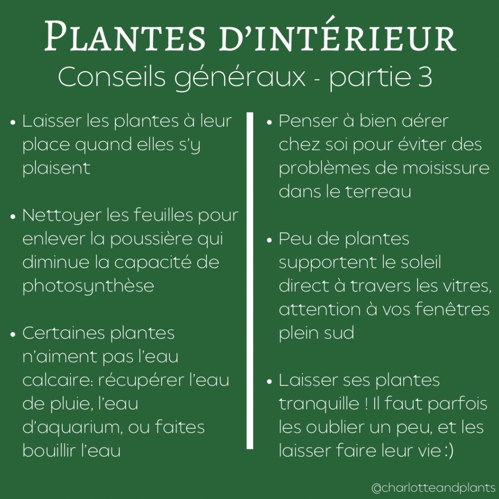 conseils plantes